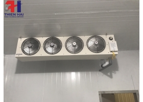 Dàn lạnh Sungjin SUS-050ELPZN6